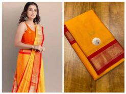 Alternative view of Paithani Border Saree