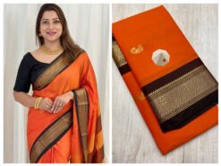 Paithani Border Saree