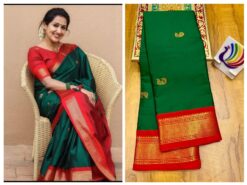Paithani Border Saree