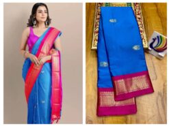 Paithani Border Saree