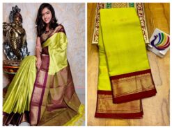 Paithani Border Saree
