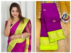 Paithani Border Saree